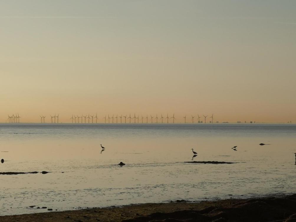 Beach Cabin Höllviken エクステリア 写真