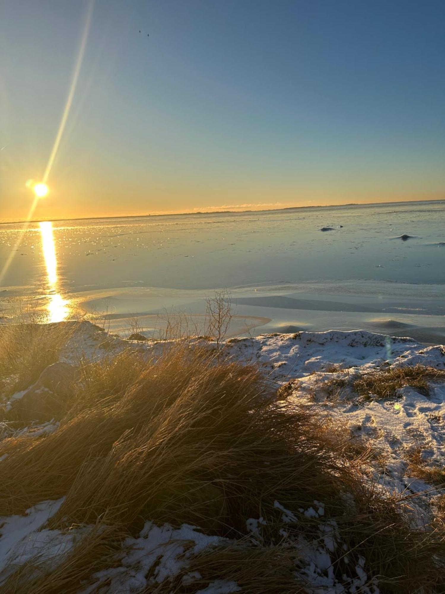 Beach Cabin Höllviken エクステリア 写真
